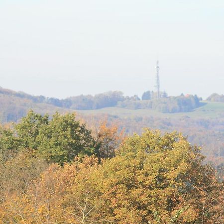 Fewo Im Naturpark Spiegelberg ภายนอก รูปภาพ